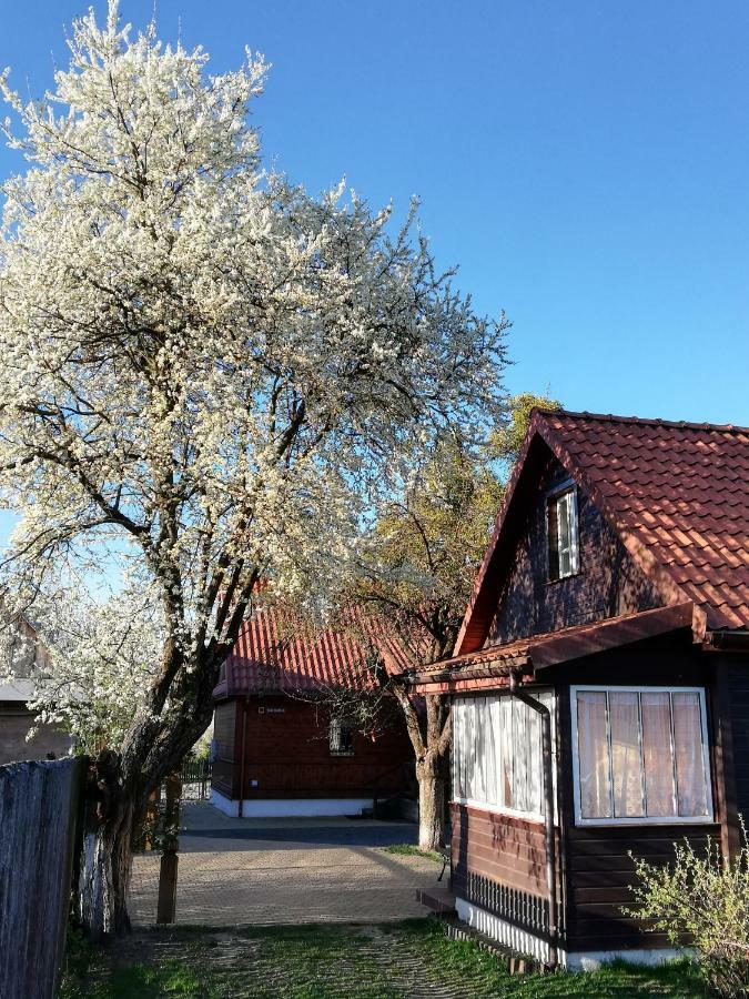Domek Zapiecek Białowieża Buitenkant foto